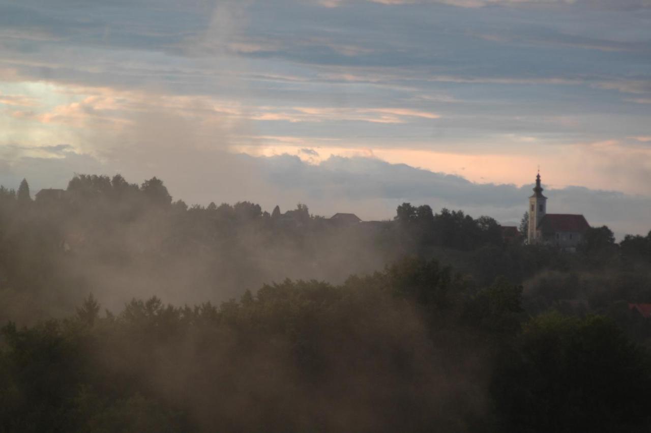 Weingut Albert, Familie Cramer Bed & Breakfast คิทเซค อิม เซาซาล ภายนอก รูปภาพ